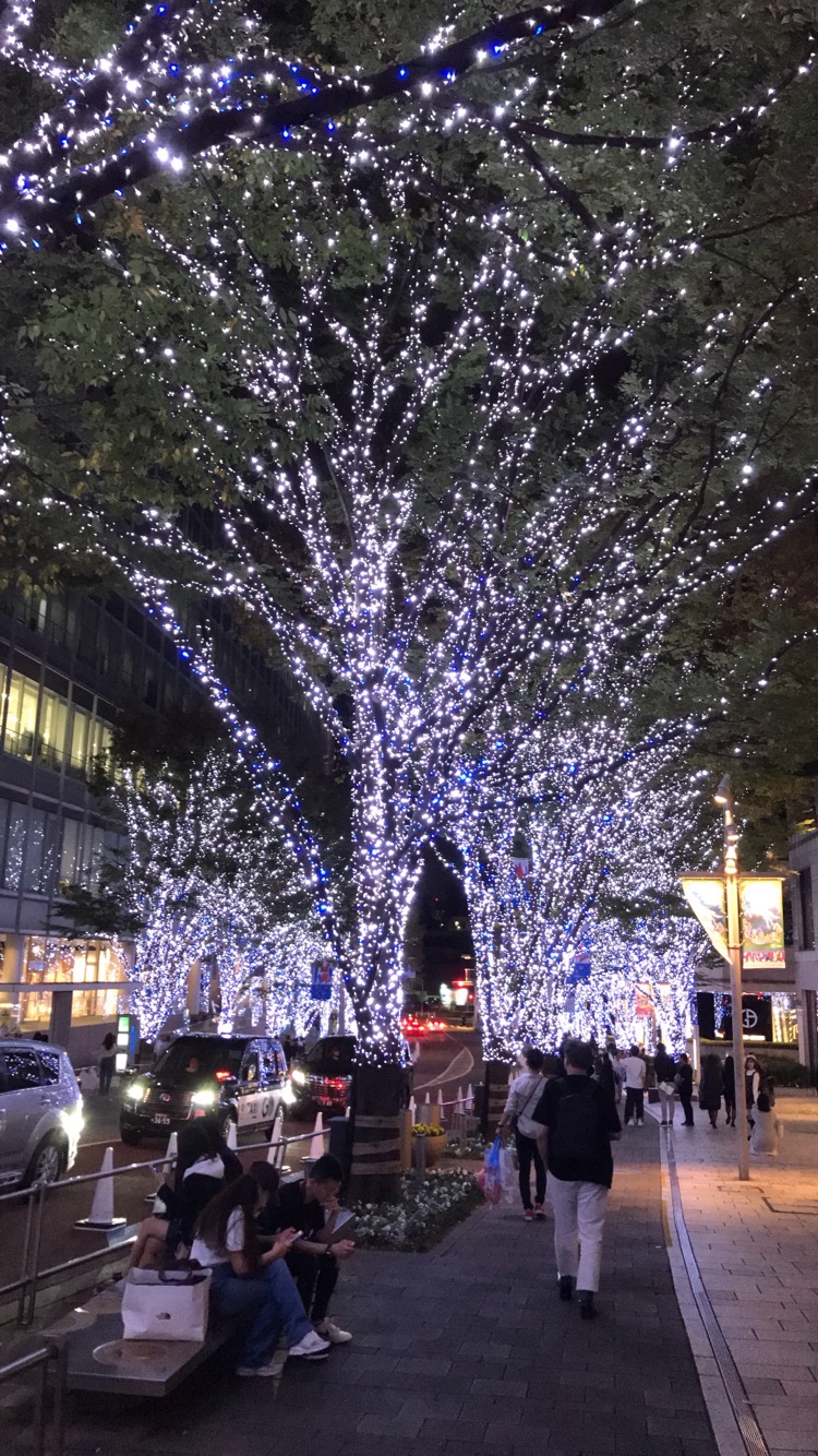 blog_img イルミネーション