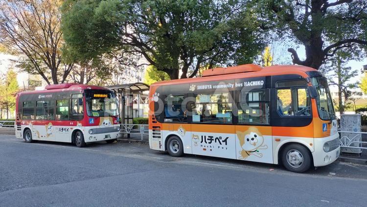 blog_img 2024年問題　バス業界