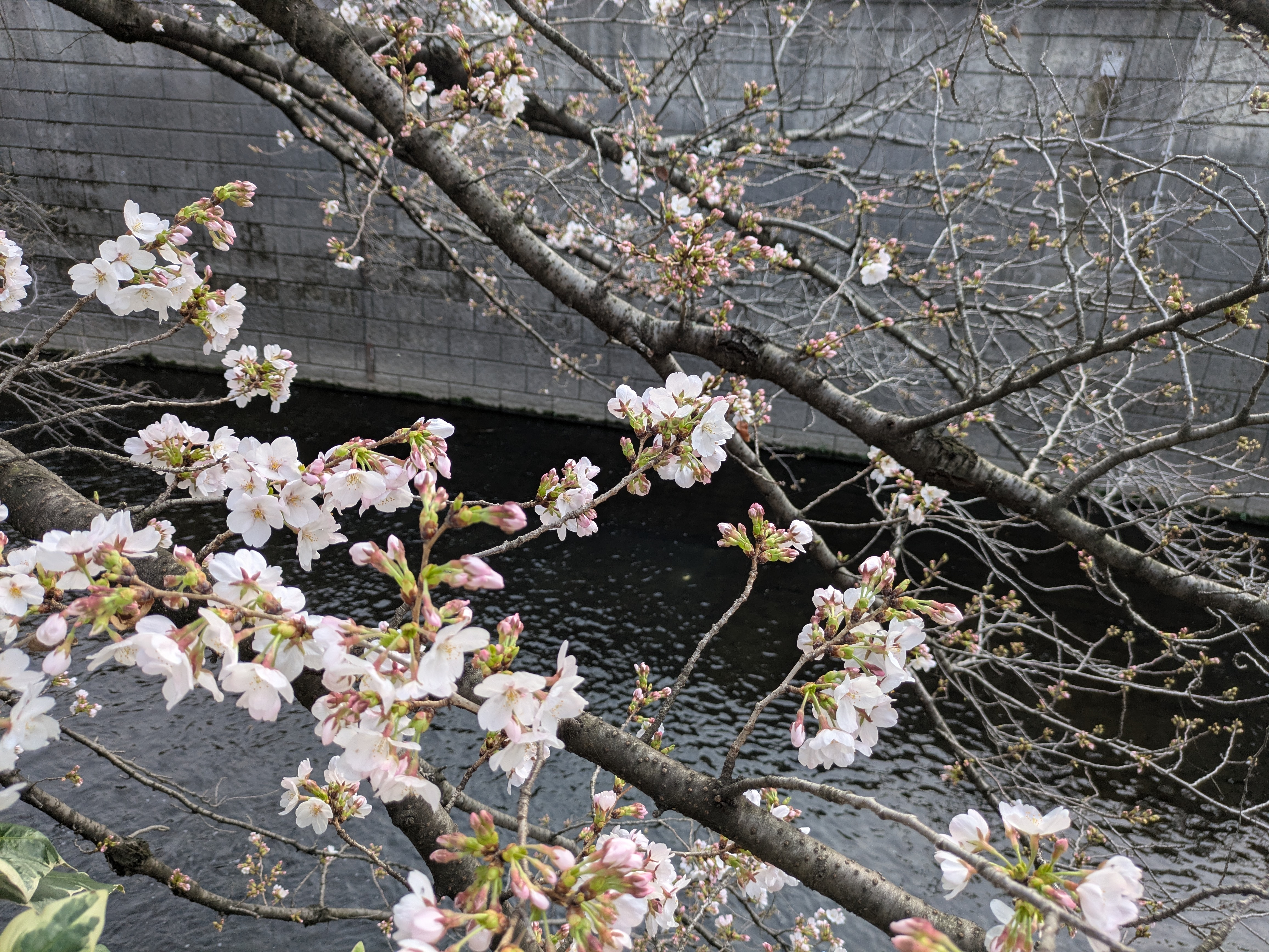 blog_img 液状化現象