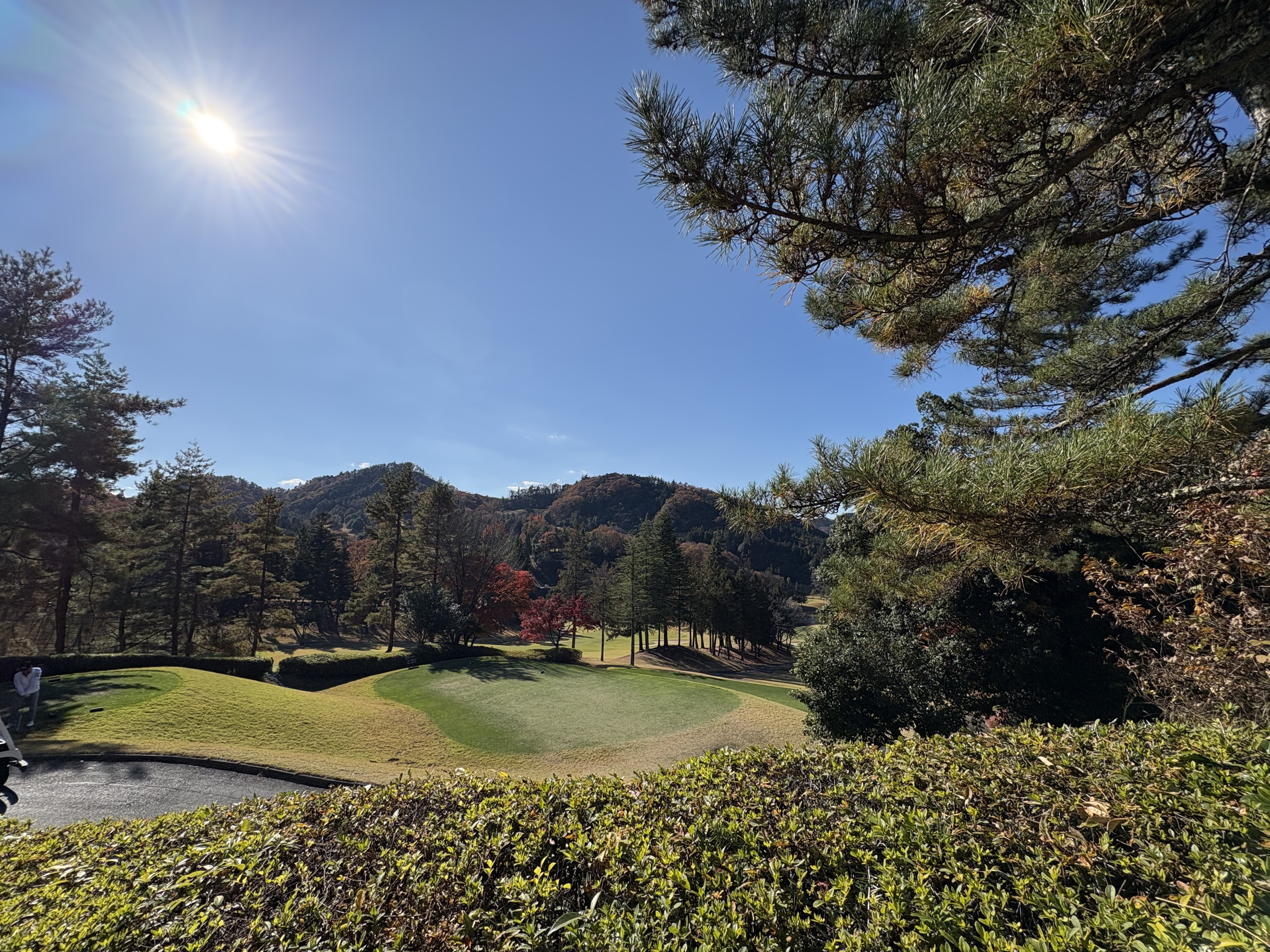 img_pick 日本女子ゴルフ界が熱い!