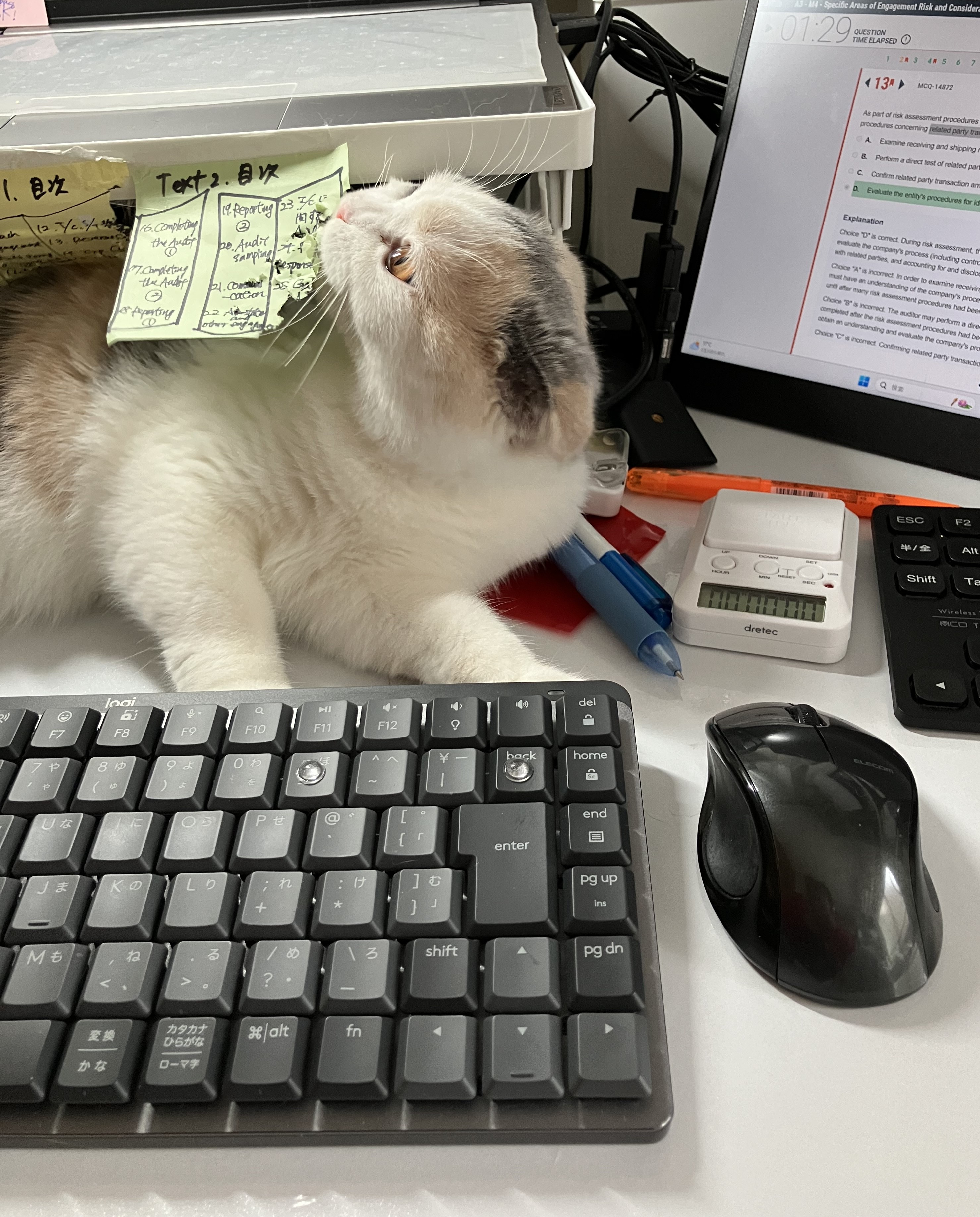 ペット多頭飼育可能マンションが人気に！